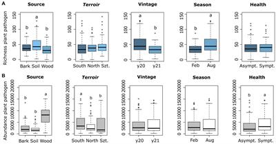 Disentangling the effects of terroir, season, and vintage on the grapevine fungal pathobiome